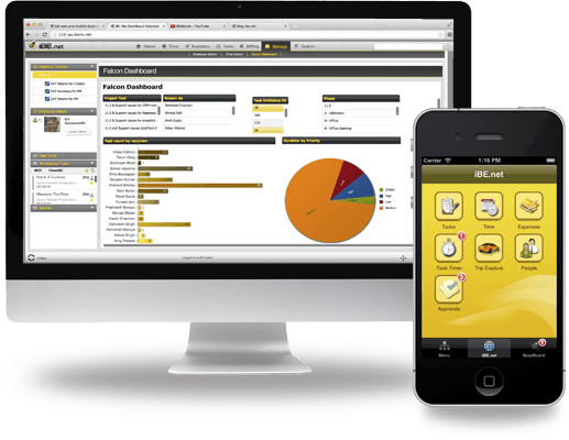 iBE - Cloud based ERP.